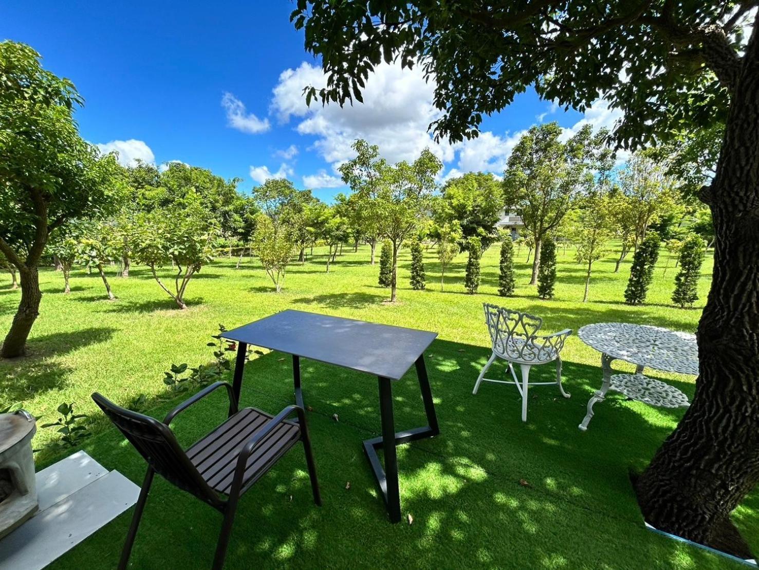 Appartement Dream Field à Luye Extérieur photo